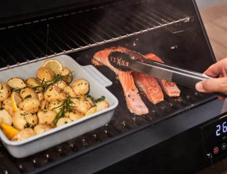 electric portable bbq salmon