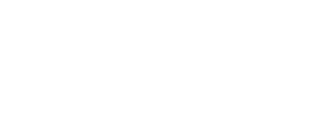 Wine Selectors Logo